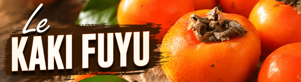 Culture et taille du KAKI FUYU