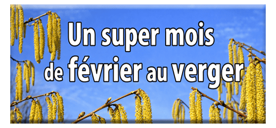 Travaux de février au verger bio