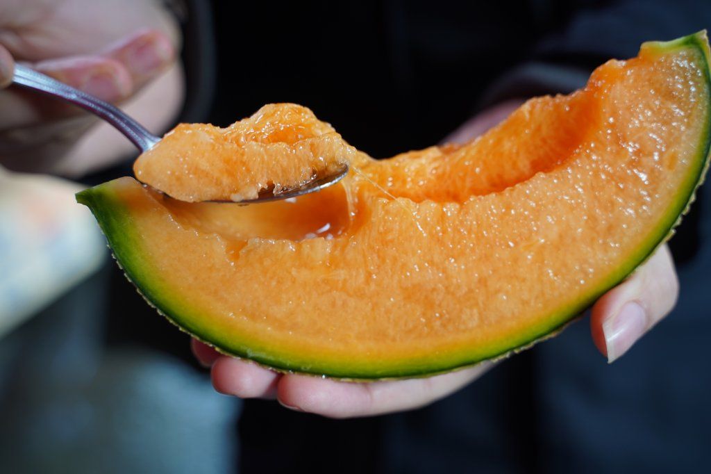 Le Melon Yubari (Japon) – Le Plus Prestigieux