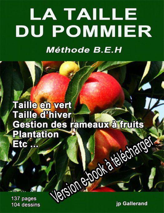Méthode complète pour la mise à fruits des pommiers + BONUS GRATUIT