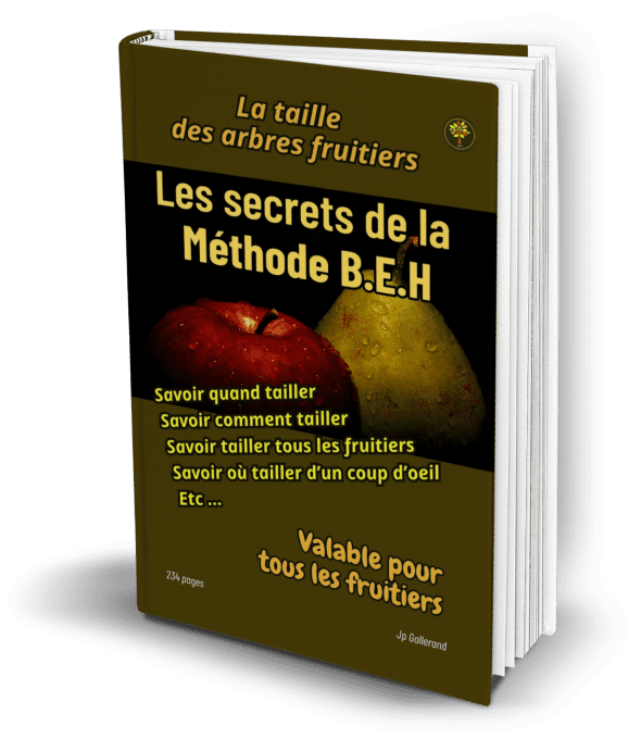Les secrets de la Méthode B.E.H