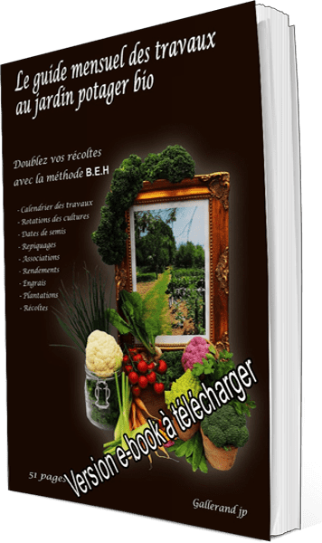 Le guide mensuel des travaux (e-book) au jardin potager bio