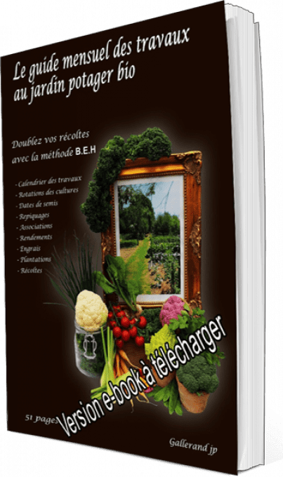 Le guide mensuel des travaux (e-book) au jardin potager bio