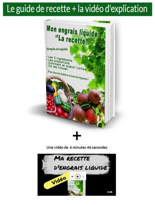 Ma recette secrète d'engrais liquide