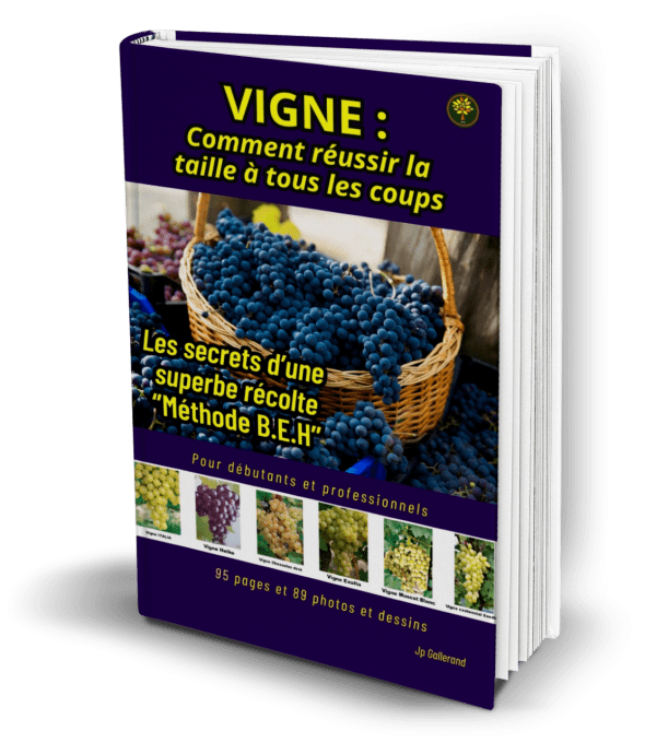 Comment couvrir vos vignes de raisins (e-book)