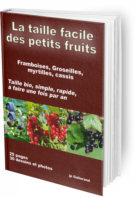 La taille facile des petits fruits (e-book)