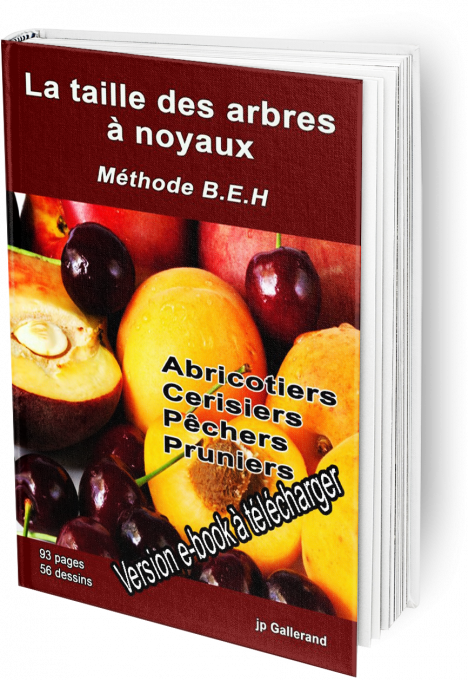 La taille des arbres fruitiers à noyaux (e-book)