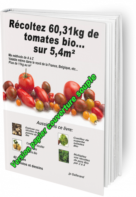 Récoltez 60,31 kg de tomates... sur 5,4 m² (e-book)