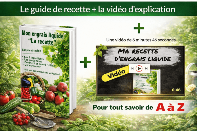 Ma recette secrète d'engrais liquide