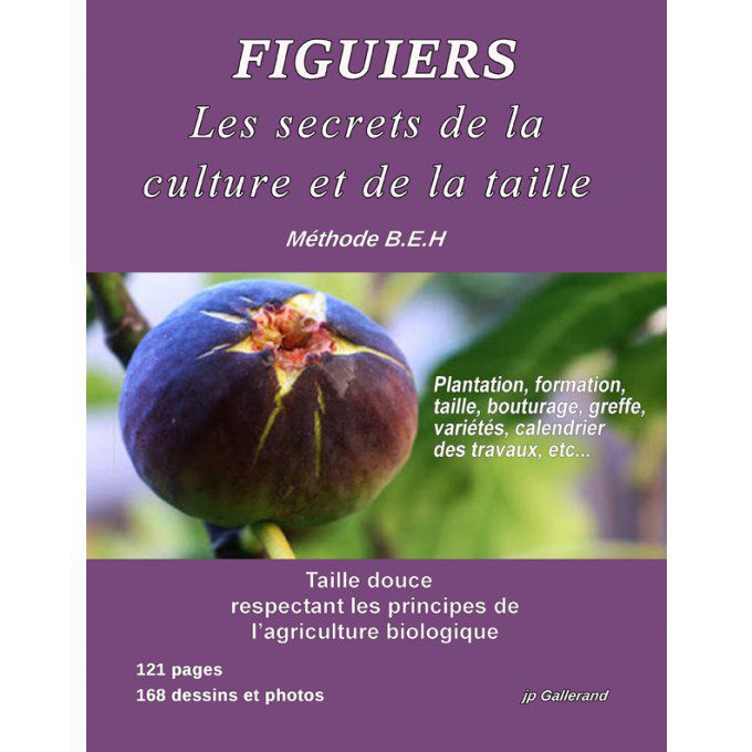 Figuier: Les secrets de la culture et de la taille (version e-book)