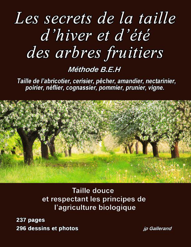 PRO : Les secrets de la taille d'hiver et d'été des arbres fruitiers (intérieur Noir et blanc)