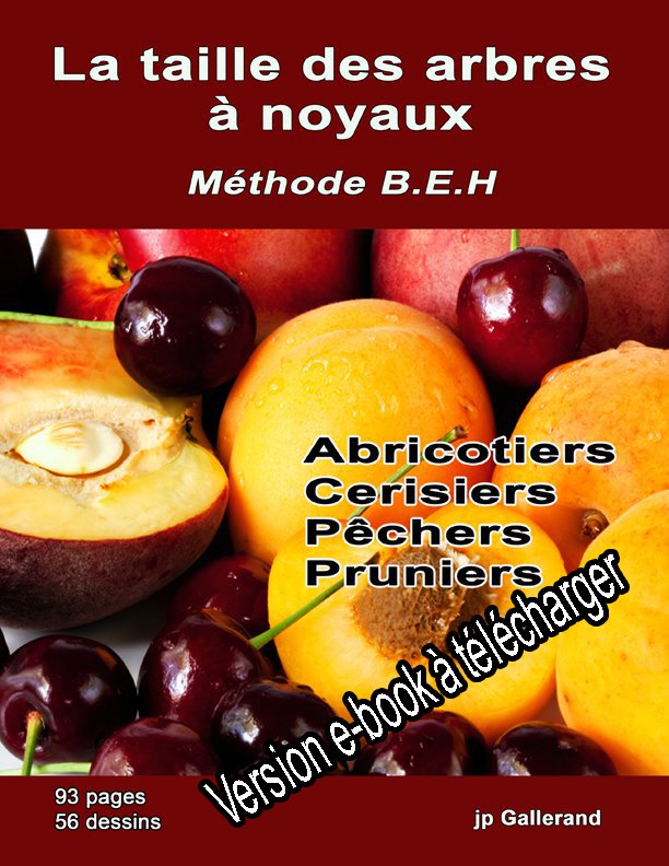 La Taille Des Arbres Fruitiers A Noyaux E Book Latailledesarbresfruitiers