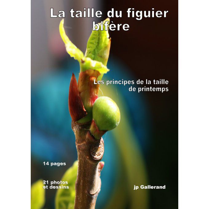 La taille du figuier bifère (e-book)