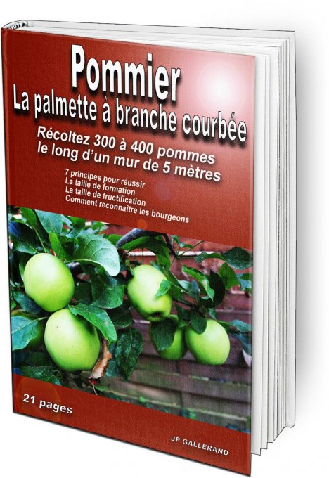 La taille et mise en forme du pommier en palmette à branche courbée. 1 e-book 