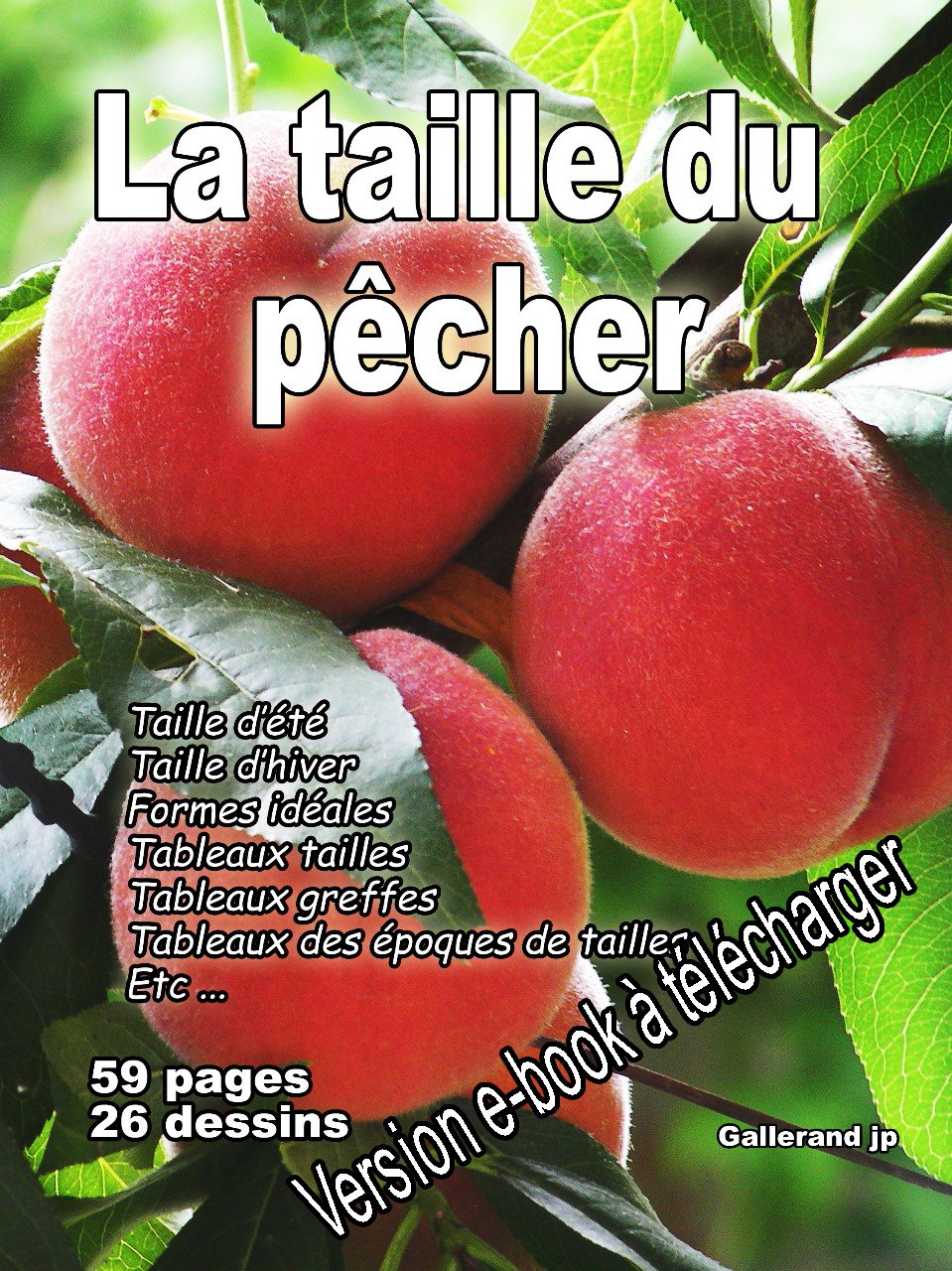 La Taille Du Pecher E Book Latailledesarbresfruitiers