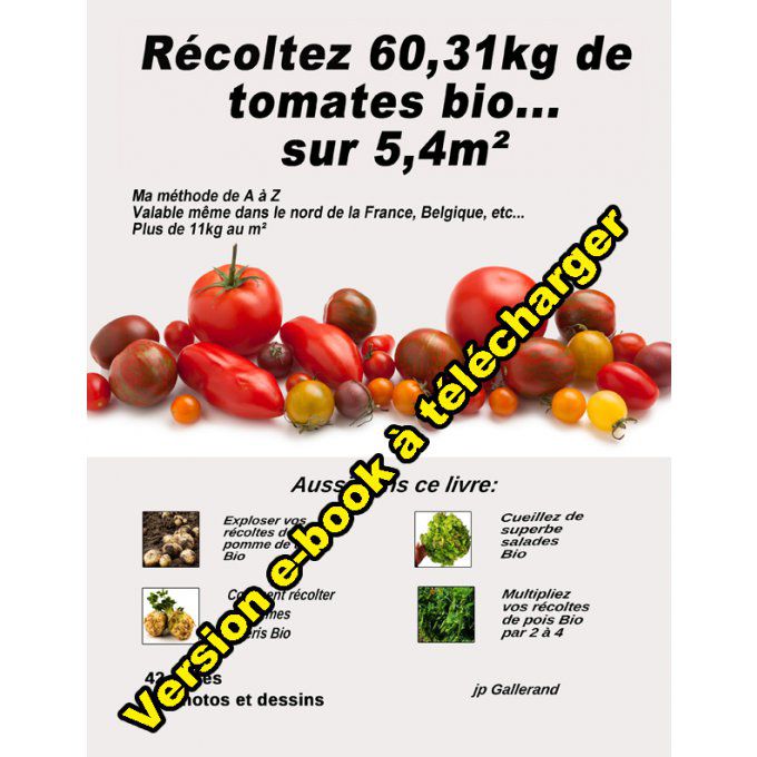 Récoltez 60,31 kg de tomates... sur 5,4 m² (e-book)