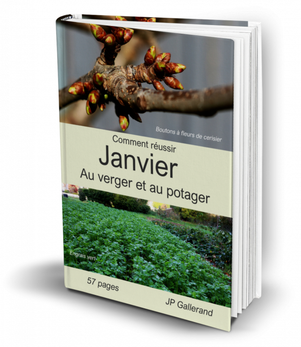 Comment réussir JANVIER au verger et potager BIO (e-book)