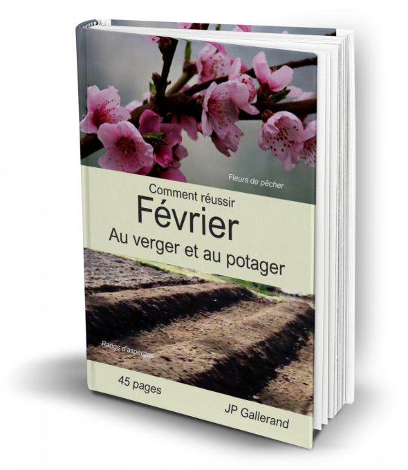 Comment réussir FEVRIER au verger et potager BIO - (e-book)