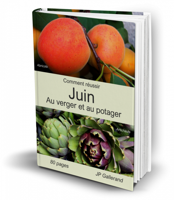 Comment réussir JUIN au verger et potager BIO (e-book) 