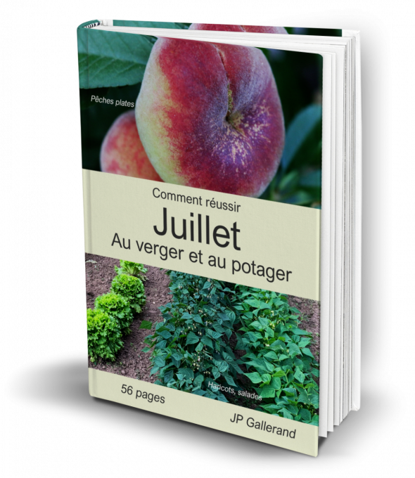 Comment réussir JUILLET au verger et potager BIO (e-book) 