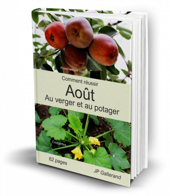 Comment réussir Août au verger et potager BIO (e-book)  
