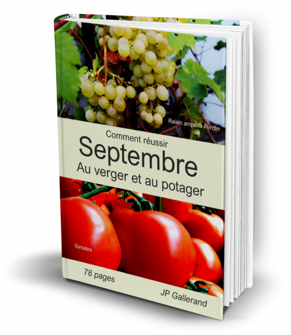 Comment réussir SEPTEMBRE au verger et potager BIO (e-book) 