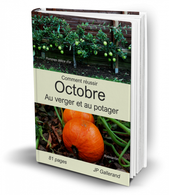 Comment réussir OCTOBRE au verger et potager BIO (e-book) 