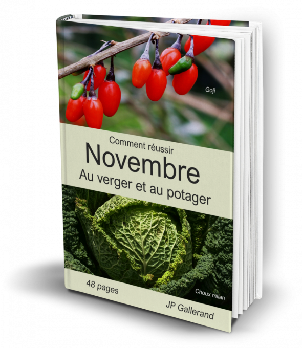 Comment réussir NOVEMBRE au verger et potager BIO (e-book) 