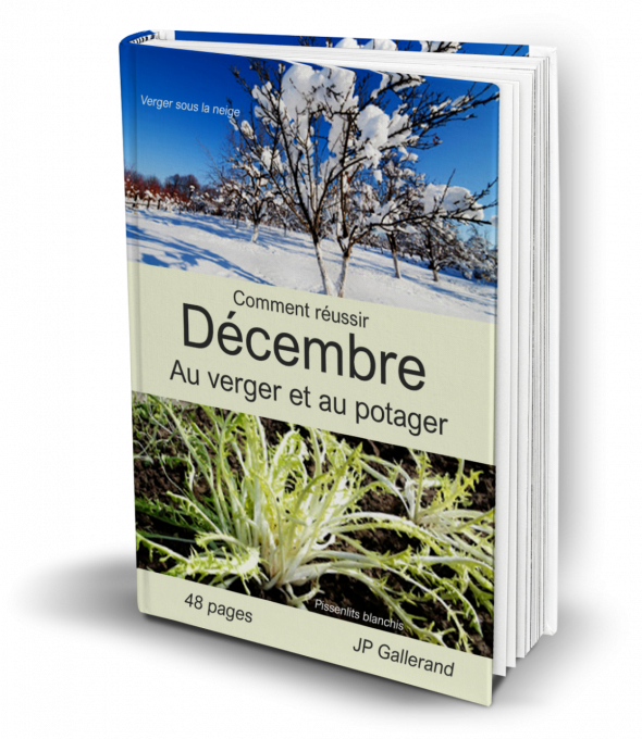 Comment réussir DECEMBRE au verger et potager BIO (e-book)  