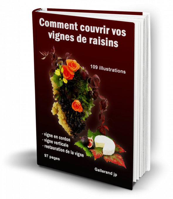 Comment couvrir vos vignes de raisins (e-book)