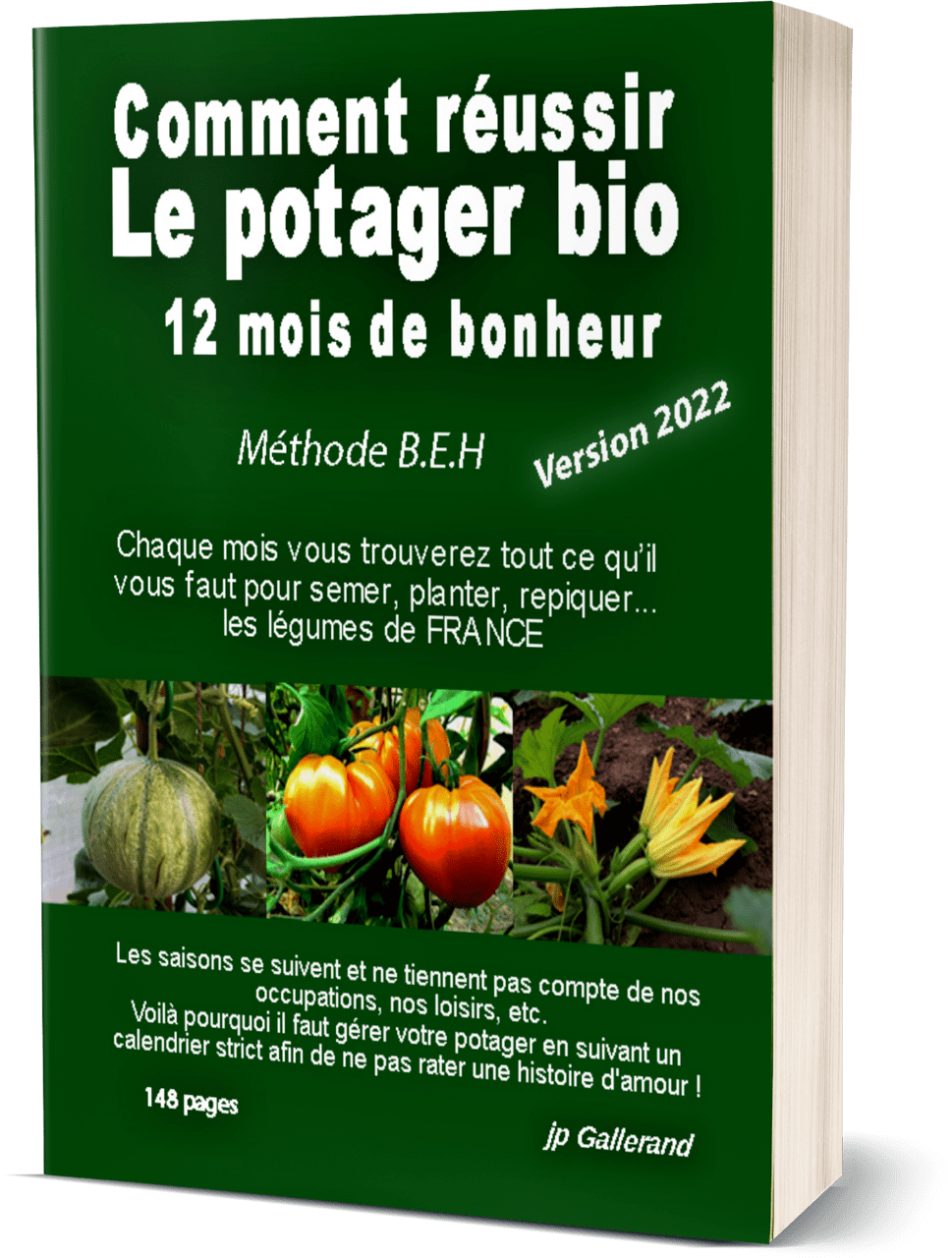 Calendrier de semis : ce qu'il faut connaître pour réussir son potager