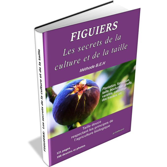 Figuiers: Les secrets de la culture et de la taille (version papier)