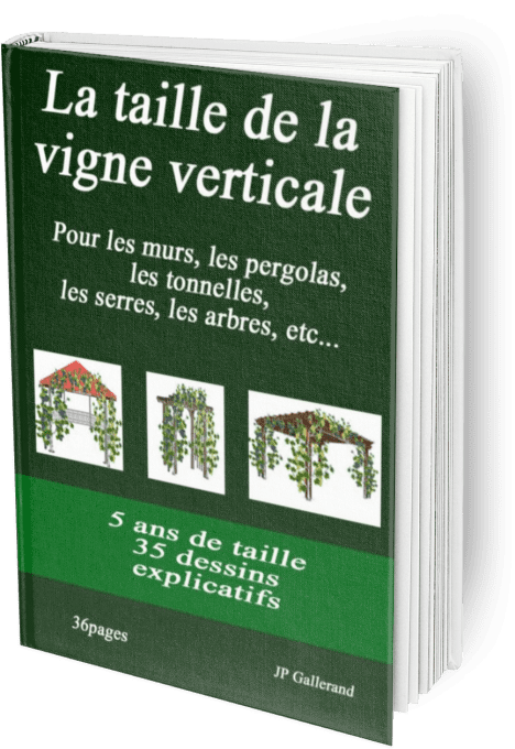 Méthode: la taille de la vigne verticale avec 1 e-book et 5 vidéos + BONUS