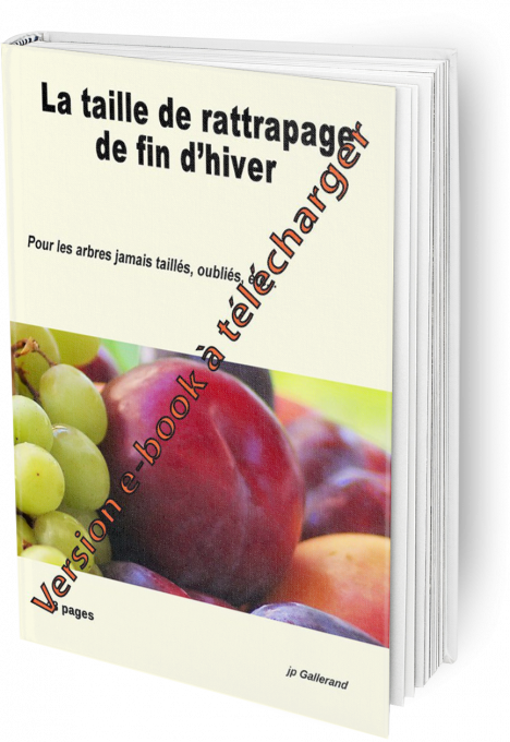 Taille de rattrapage de fin d'hiver (version e-book)