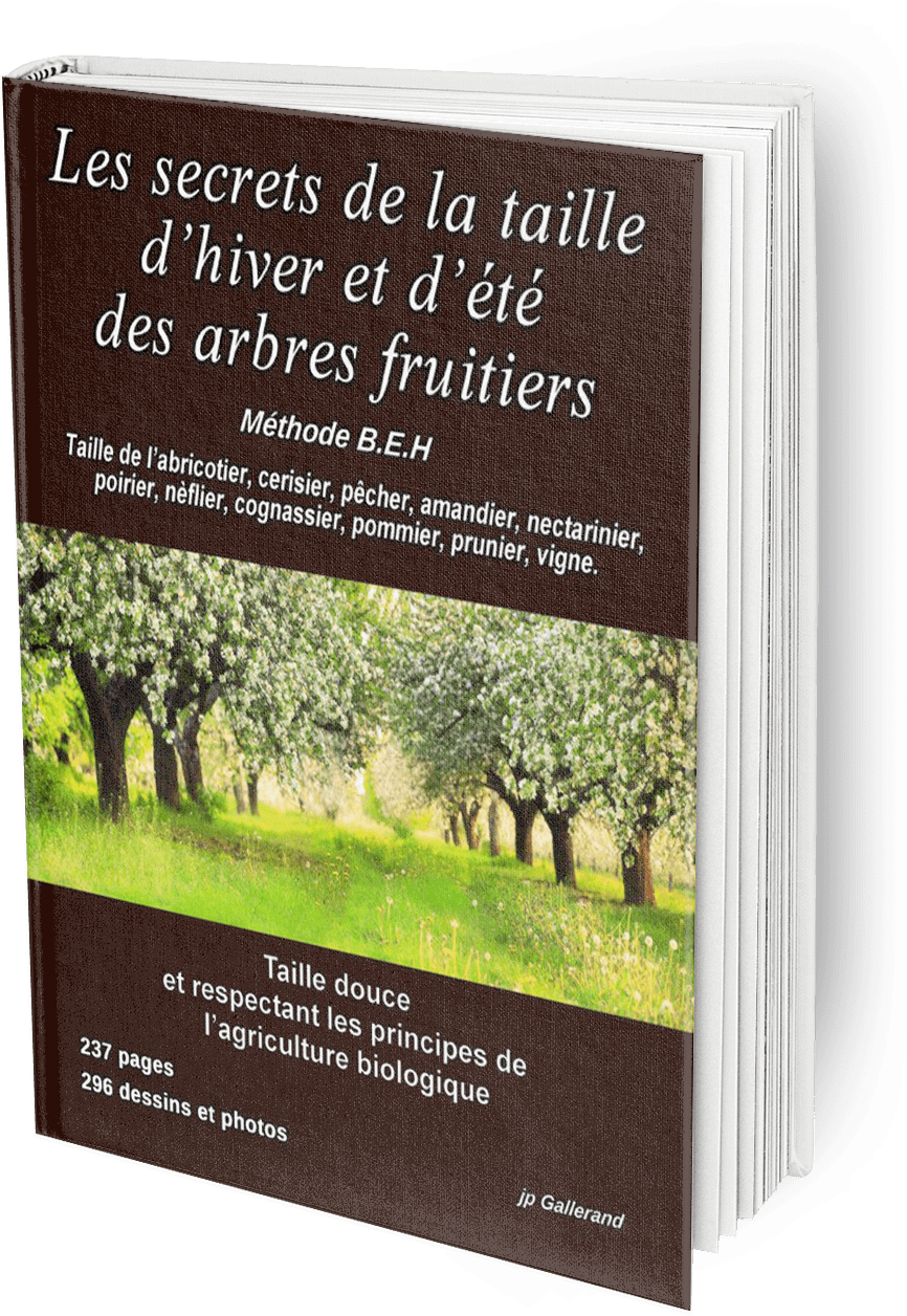 Les secrets de la taille d'hiver et d'été des arbres fruitiers (tout en couleur)
