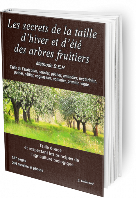 Les secrets de la taille d'hiver et d'été des arbres fruitiers (e-book)