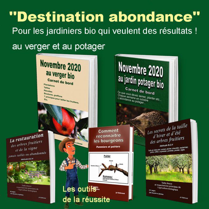 Destination abondance au verger et au potager