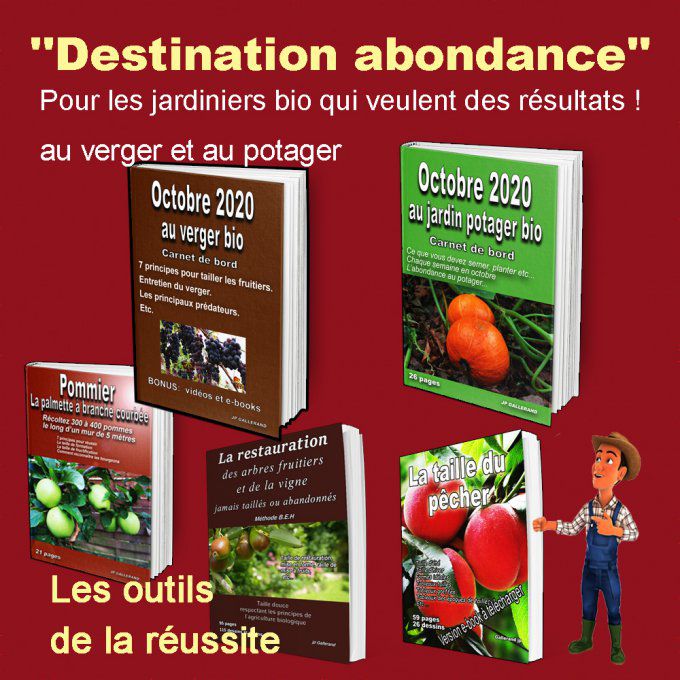 Destination abondance au verger et au potager