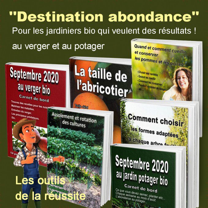 Destination abondance au verger et au potager