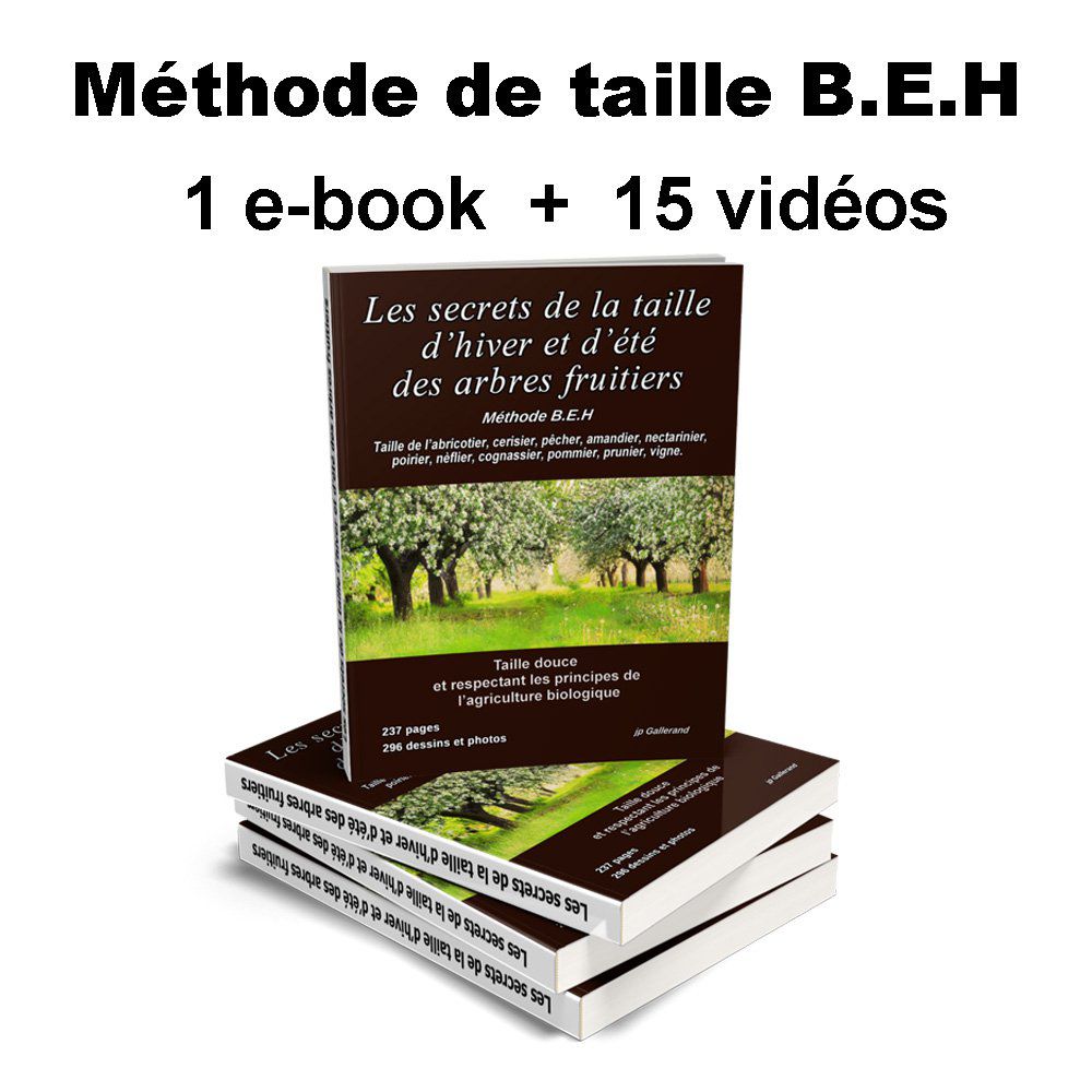 Méthode: Les secrets de la taille d'hiver et d'été des arbres fruitiers (e-book) + 15 vidéos 