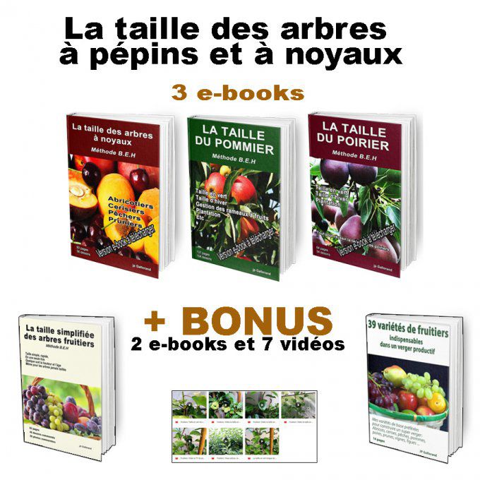 Méthode: la taille des arbres à pépins et à noyaux avec BONUS = 2 e-books + 7 vidéos