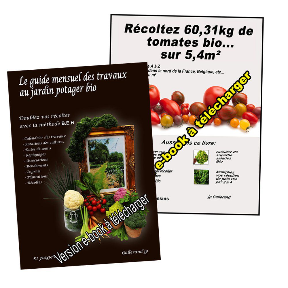 Méthode jardin:  ''guide mensuel du potager + récoltez 60,31 kg tomates sur 5,4m² + 7 vidéos''