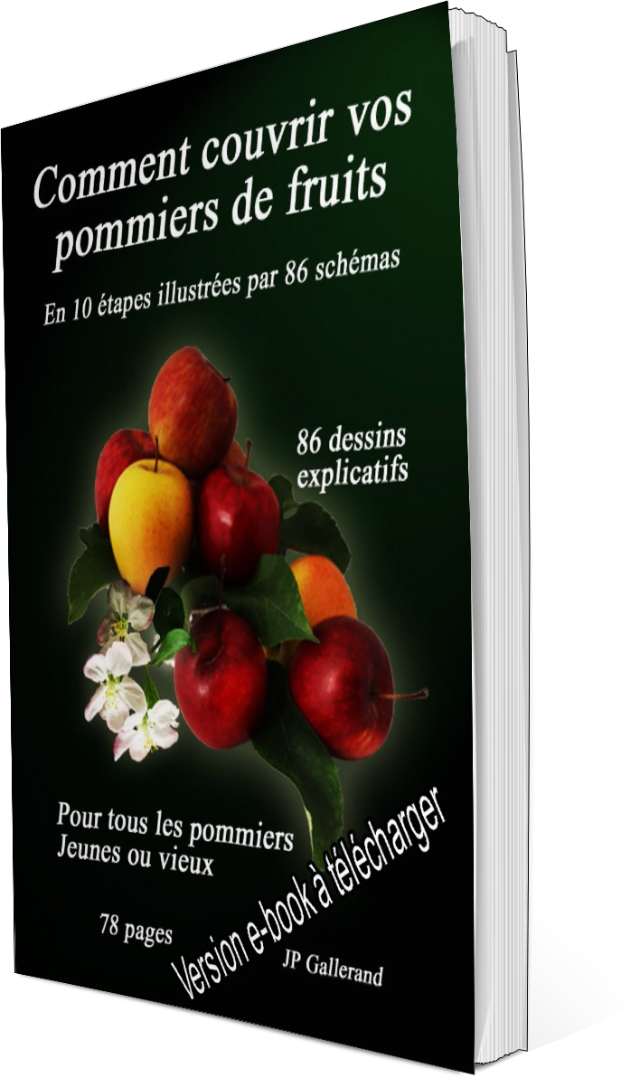 Comment couvrir vos pommiers de fruits (e-book)