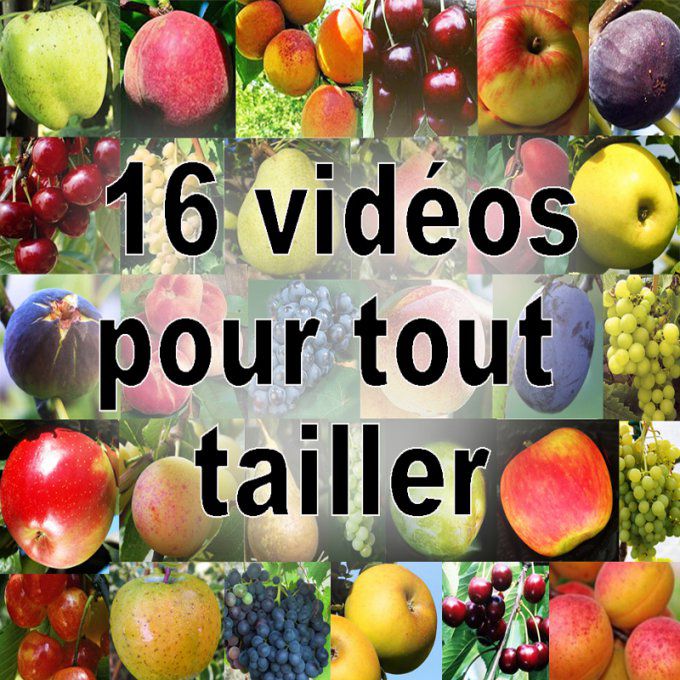 16 vidéos pour tout tailler